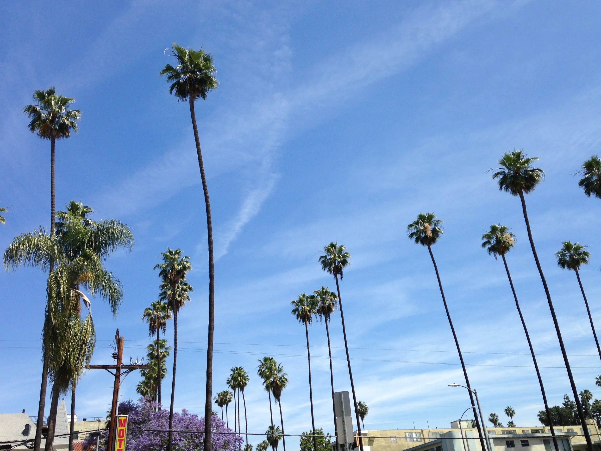 Getting the silver-screen experience... and other things to do in LA, California