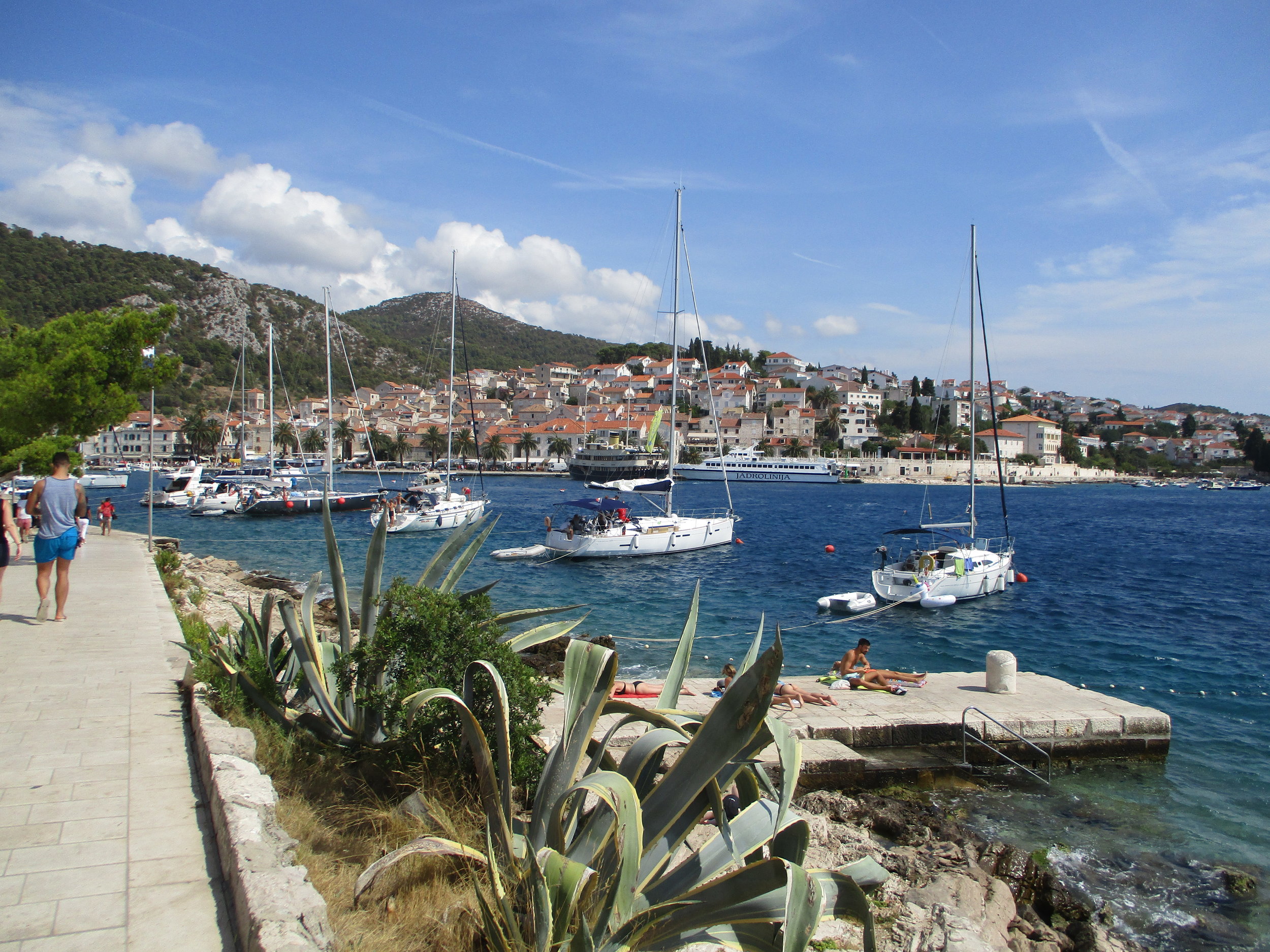 Maintaining peak Britishness... and other things to do in Hvar, Croatia