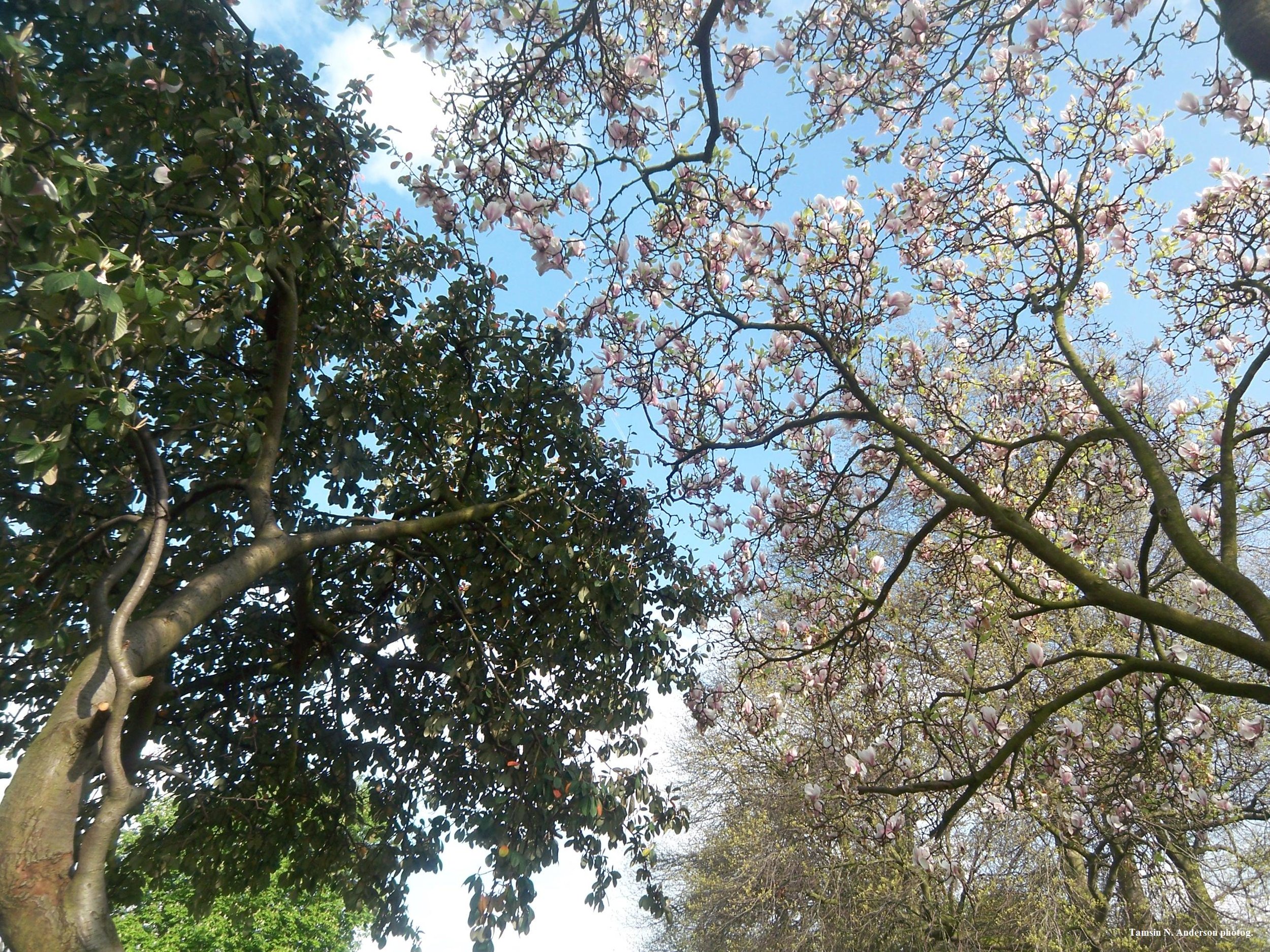 How to prep for a long-haul trip without freaking the F out