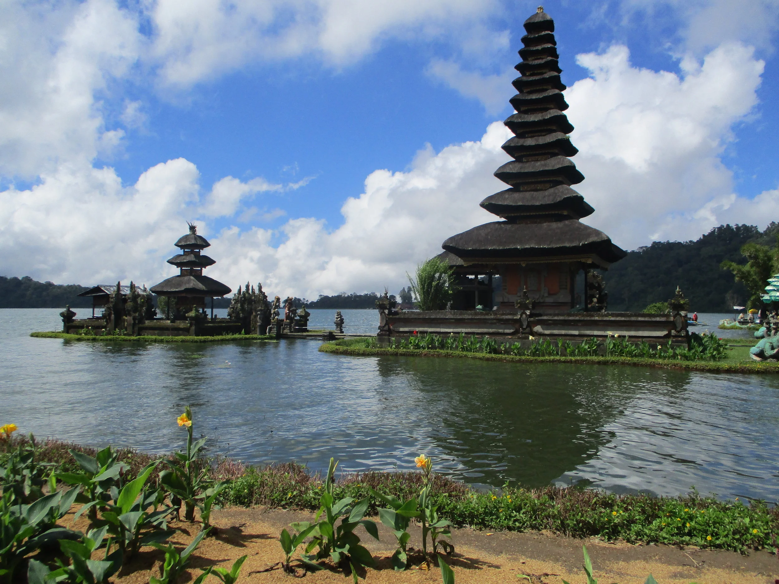 What Bali taught me, other than how to cope with bugs