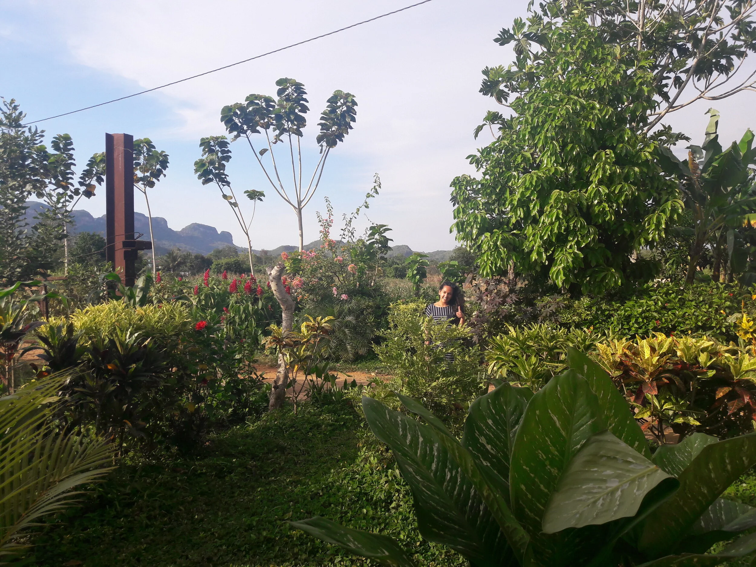 20190424_181035.jpg