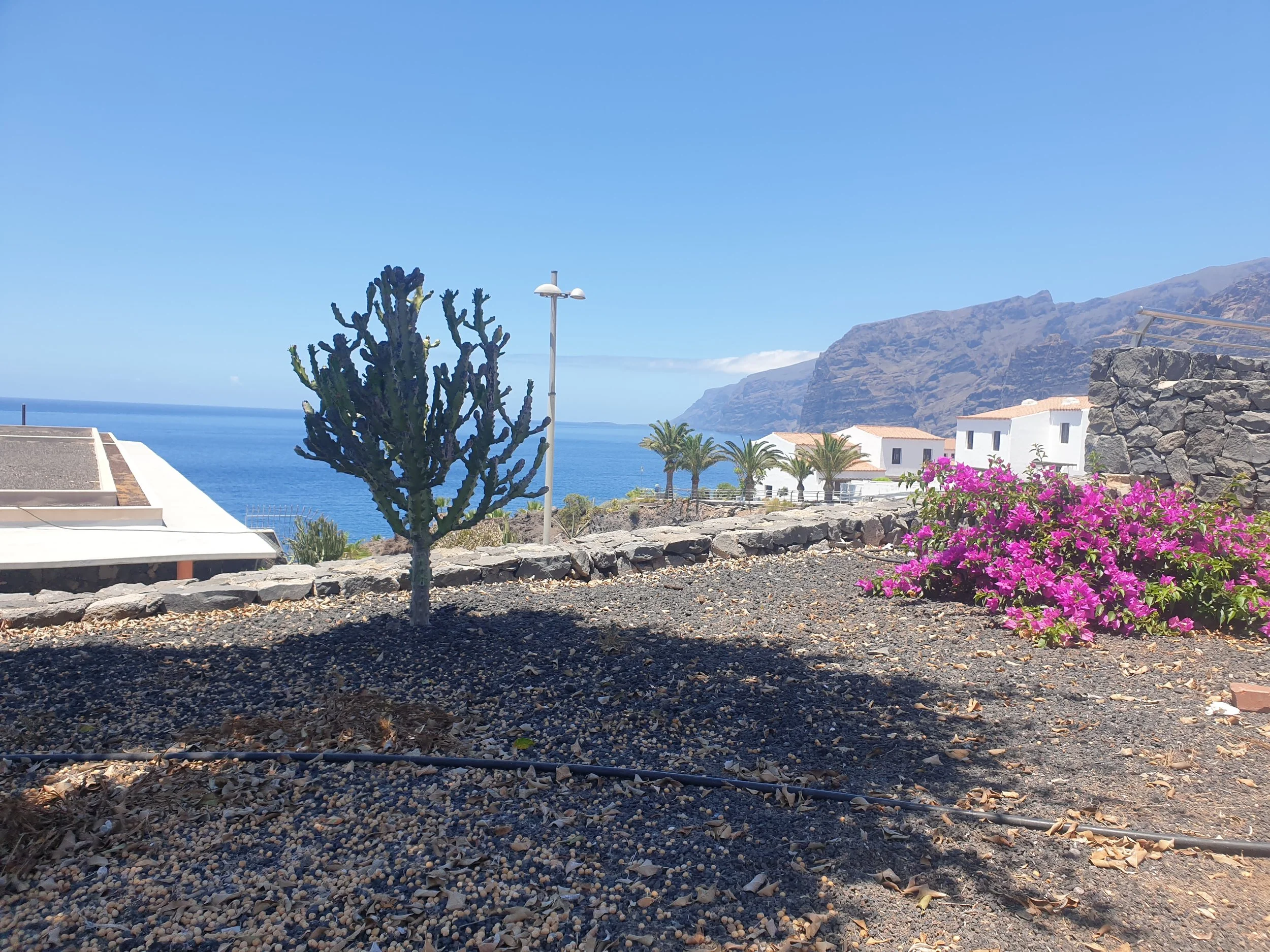Embracing the beauty of a party destination... and other things to do in Tenerife, Canary Islands