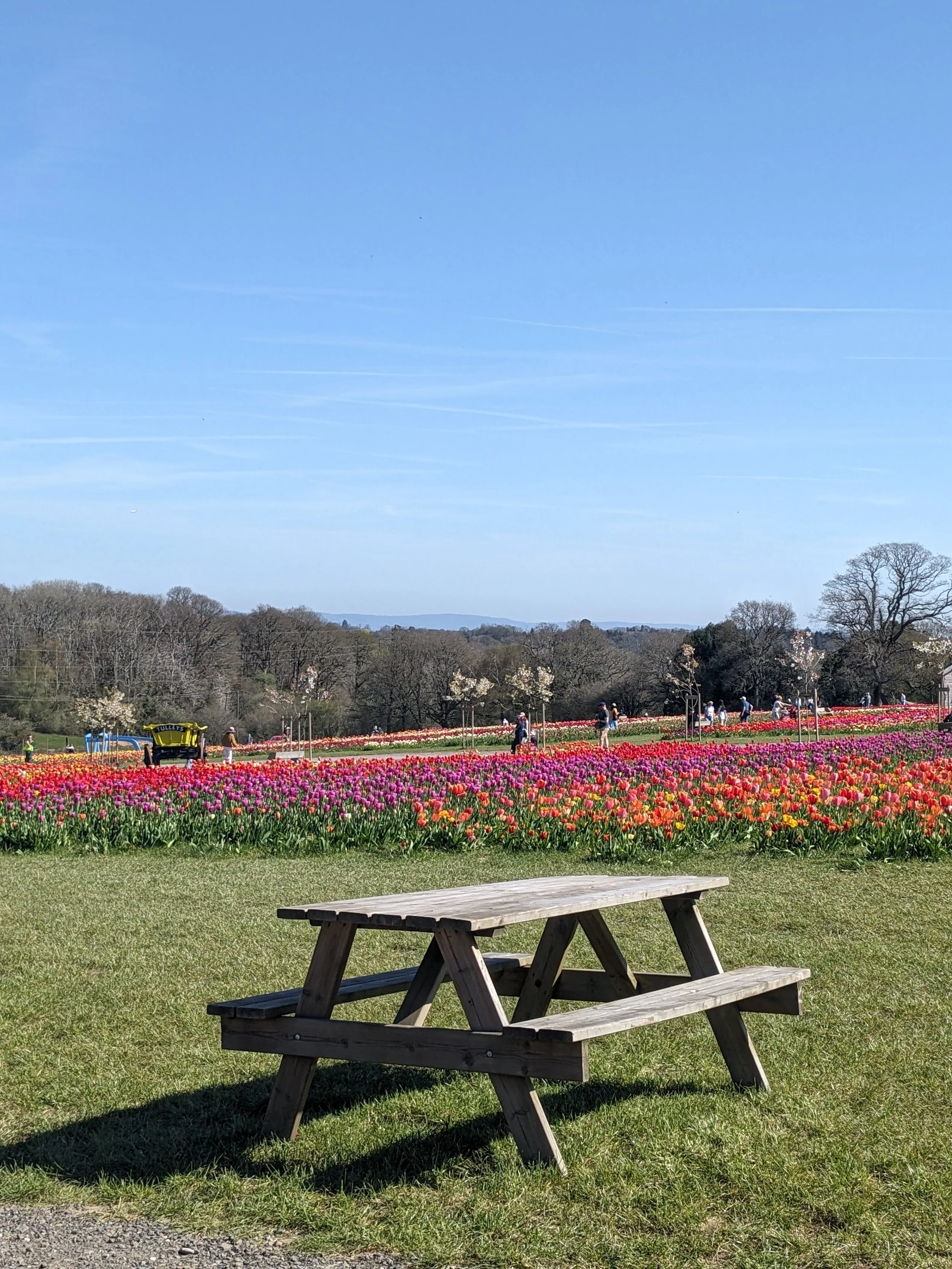 "Time will tell": How I feel about returning to work at the end of maternity leave
