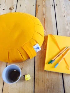 Why I Prefer to Pause Instead of Kick-start 2018