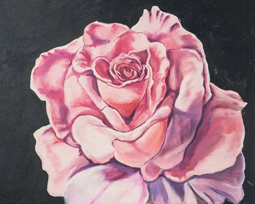 Pauline, pink rose.jpg