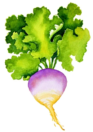 RA veggie.jpg