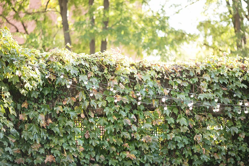 150926_terry_176 copy.jpg