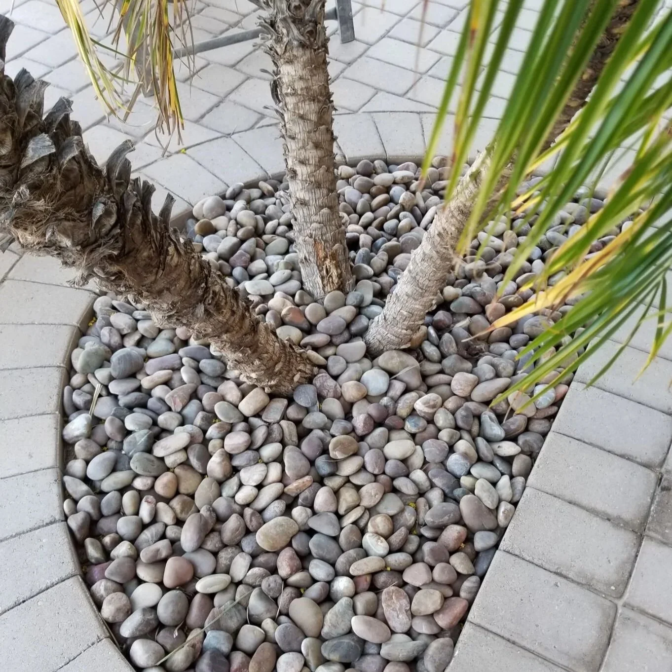 landscaping pebbles in arizona