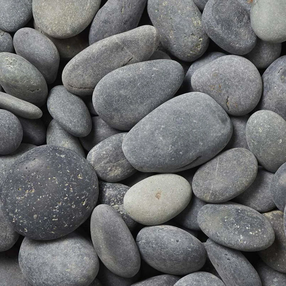 beach1.jpg
