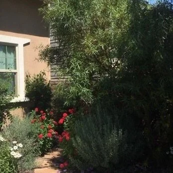 What's Hot in Hardscape Landscaping?