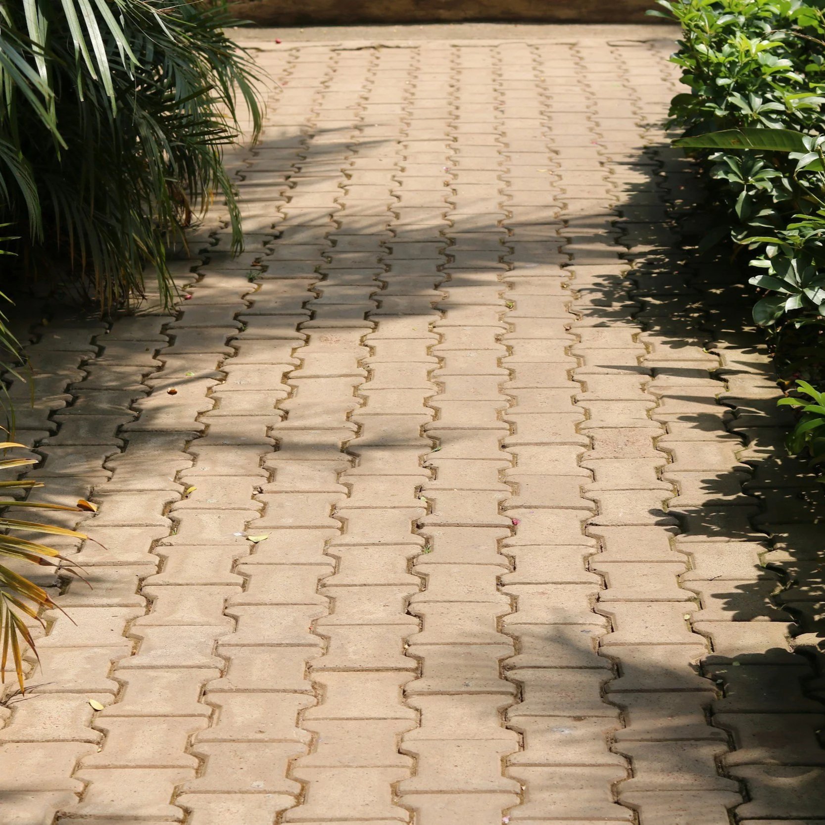 The Best Paver Options for Patios, Driveways, and Outdoor Spaces