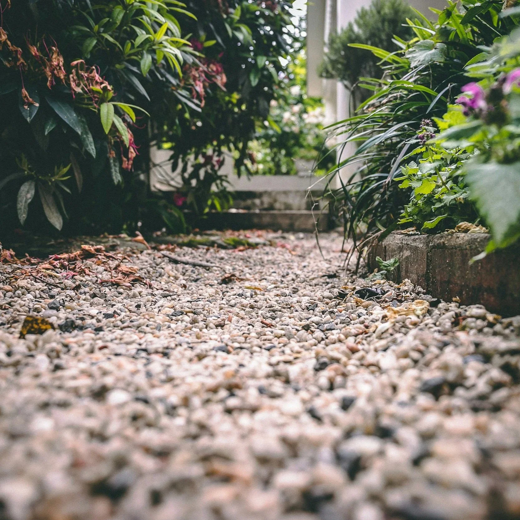 Enhancing Gardens and Pathways With Natural Beach Pebbles