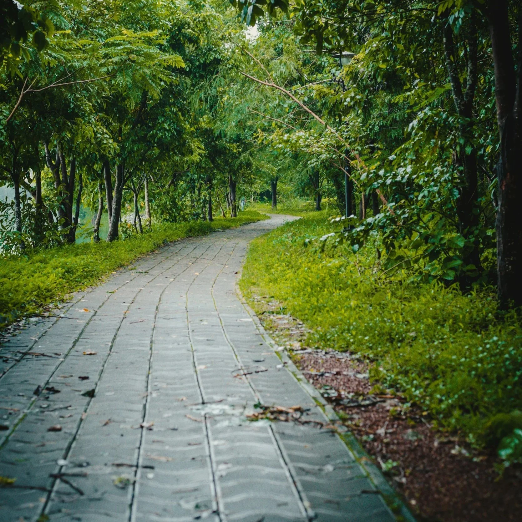 Creating Durable and Stylish Walkways With High-Quality Pavers