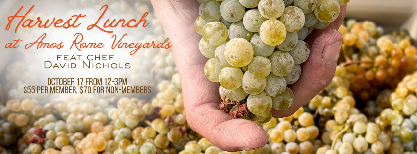Harvest Lunch + Fall Release Party
