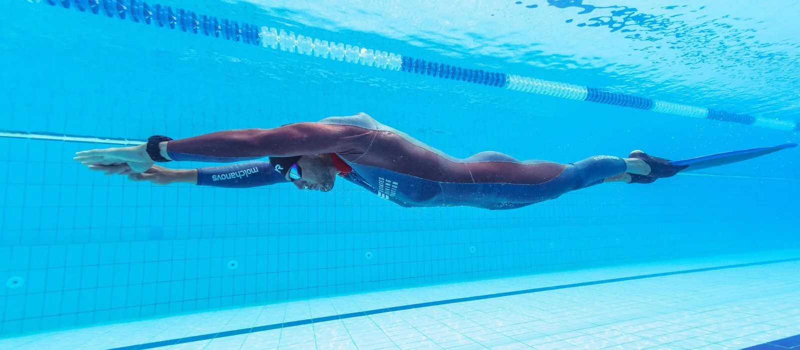 Organize a Competition — U.S. Freediving Federation