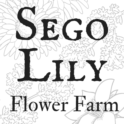 Sego Lily Flower Farm