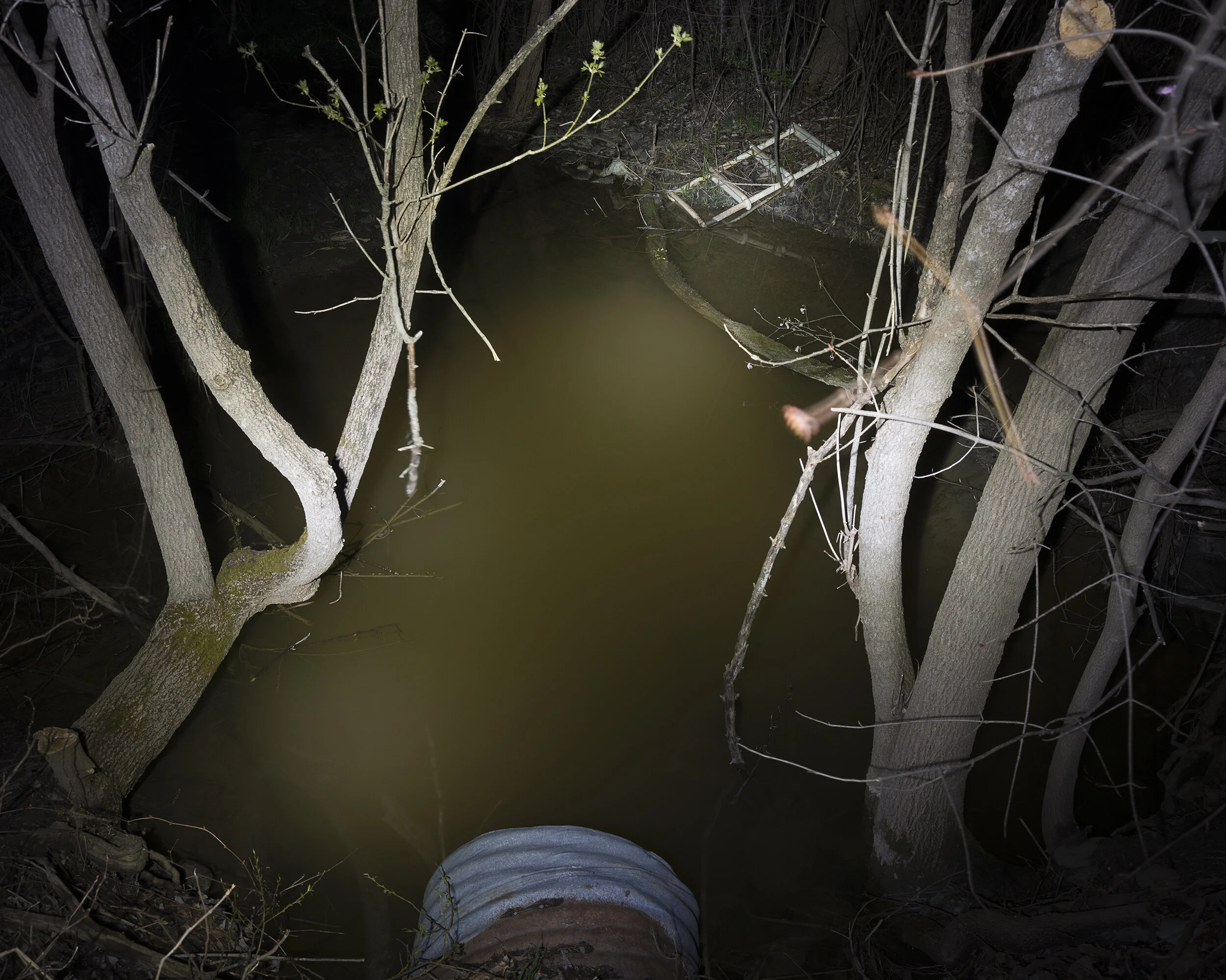 flashlight creek_web.jpg