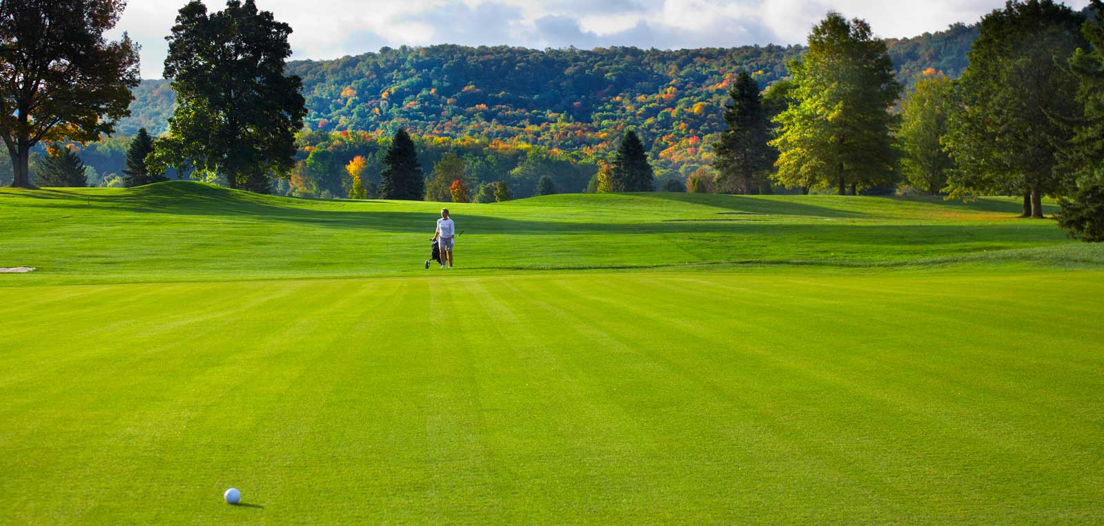 generic course 1.jpg