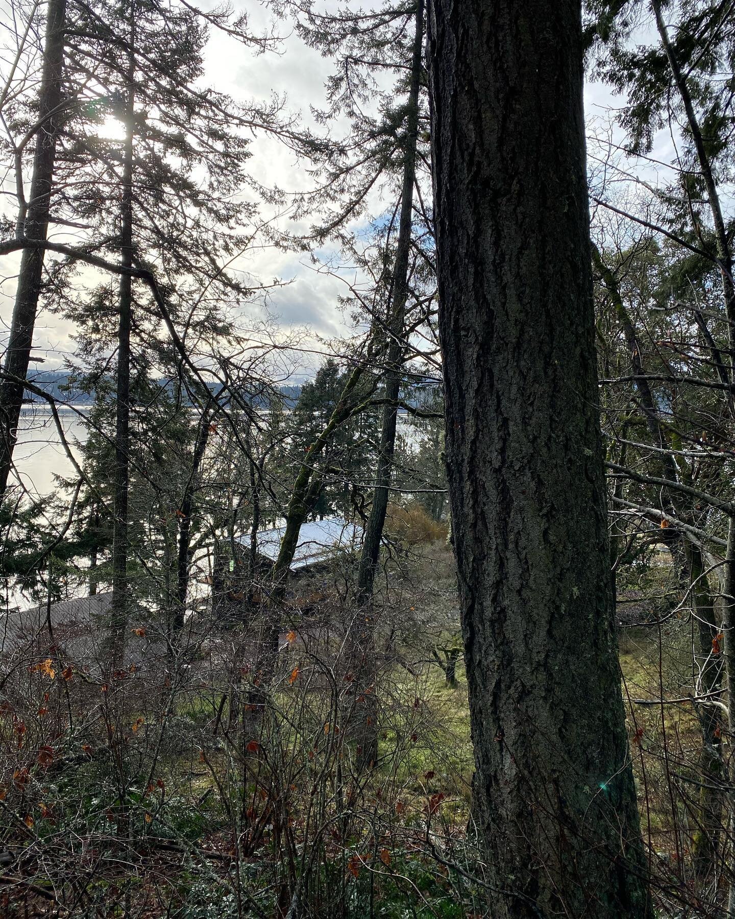 After the storm. #Living building challenge #DocumentaryFilmmaking #Documentary #AfterTheStorm #BuildingForResiliency #PassiveHouse #EnergyConservation #RewindingTheEcosystem #ClimateChange #ClimateCrisis #SaveOurPlanet #Ecology #Gratitude