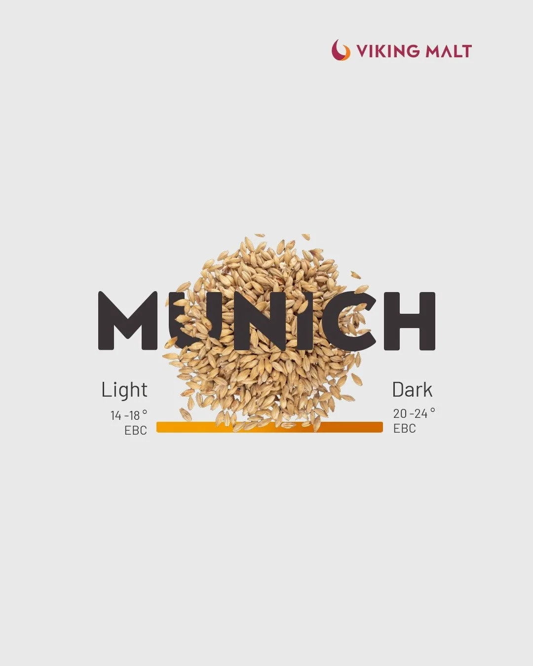Malta Munich de Viking Malt: El ingrediente clave. 🔑
¿Tu próxima cerveza artesanal necesita un perfil maltoso rico y un color vibrante? La Malta Munich es esencial.
En Central Altiplano somos distribuidores de las mejores Maltas Espe