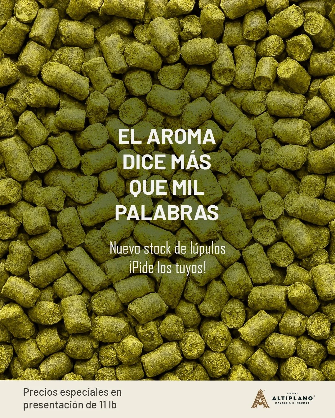 🔥 Aprovecha nuestros precios especiales en bolsas de 11 lb de la cosecha 2024
🌿 &iquest;Buscas alg&uacute;n l&uacute;pulo en particular? Tenemos una gran variedad disponible: sobre pedido o para entrega inmediata.
📲 Escr&iacute;bele a tu ejecutivo