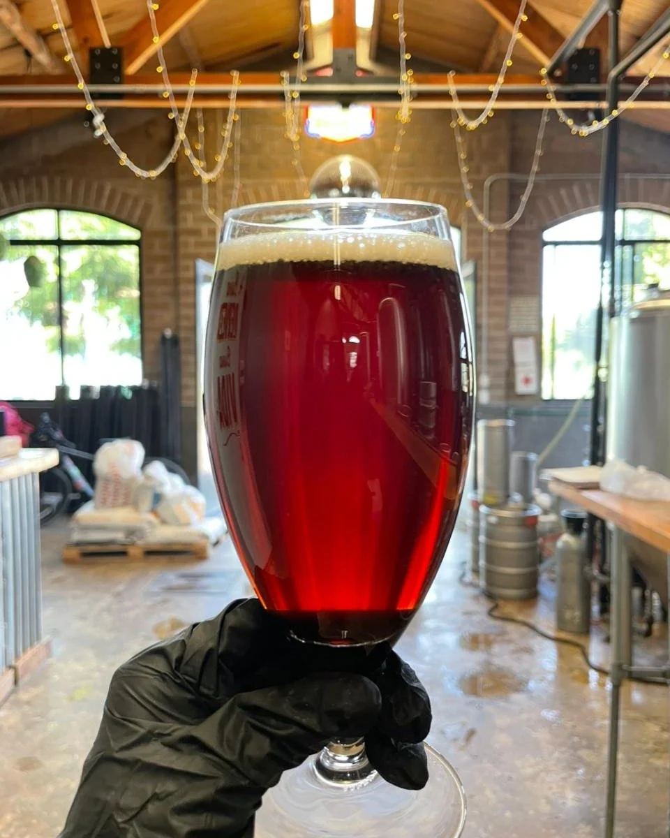 &iquest;Buscando el ROJO PERFECTO para tu Cerveza Navide&ntilde;a? ✨
Logra ese rojo intenso y brillante que evoca el esp&iacute;ritu navide&ntilde;o con el match perfecto de maltas:

🔥 Pale ale Altiplano + Dark Munich + Red Ale de @viking_malt 

🍻S