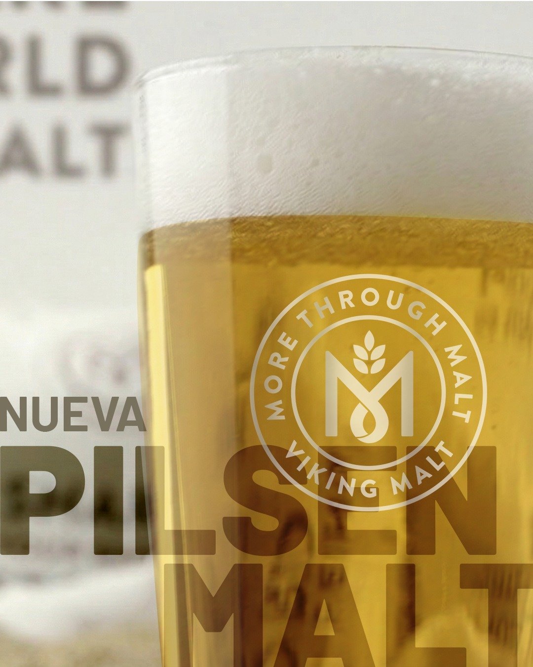Una nueva malta esta llegando a Altiplano, la Pilsen de @viking_malt esta disponible en nuestro cat&aacute;logo. 

Una malta base con los mejores est&aacute;ndares de calidad lista para enviar a tu cervecer&iacute;a.
Conoce el potencial y rendimiento