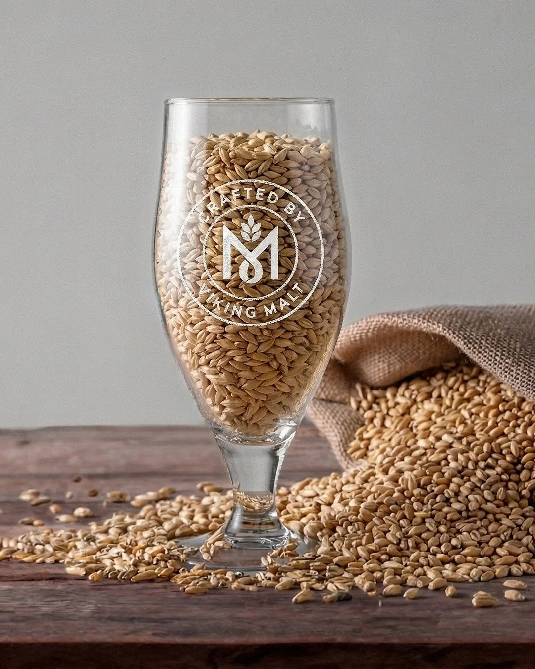 Limpia, dorada y refrescante. 🥂 As&iacute; es la Basic Lager, una receta dise&ntilde;ada para brillar utilizando exclusivamente malta Viking Pilsner.

A veces, la perfecci&oacute;n est&aacute; en la simplicidad de los mejores ingredientes. Si quiere