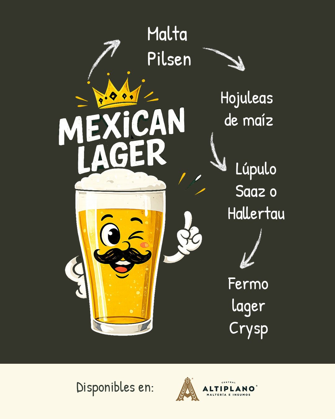 &iquest;Buscas ideas para tus pr&oacute;ximos estilos? 🍻
En Altiplano te compartimos algunas sugerencias para crear cervezas amigables, refrescantes y muy f&aacute;ciles de disfrutar, ideales para conquistar a nuevos consumidores.

&iquest;Qu&eacute