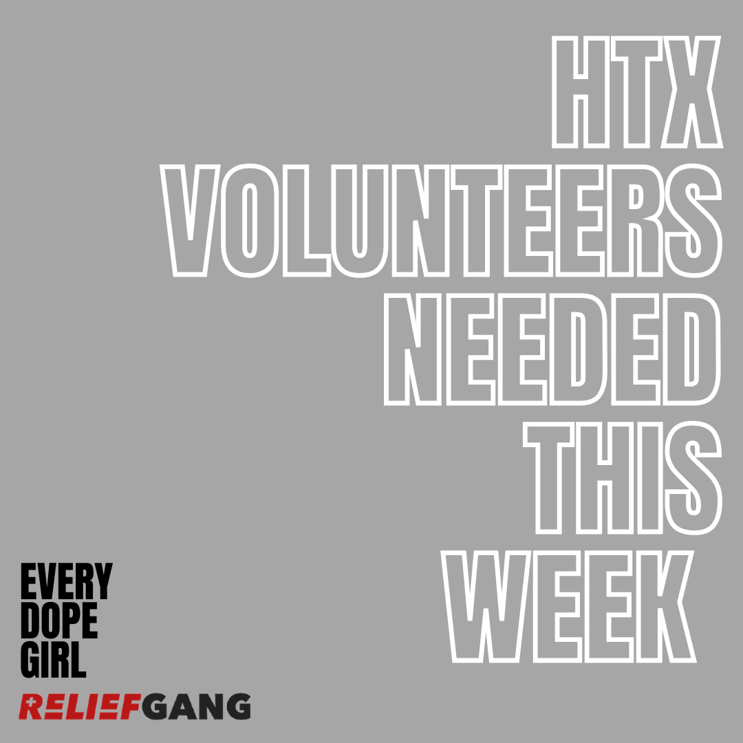 EveryDopeGirl x Relief Gang Volunteer Sign Up