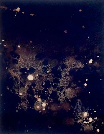 Fireballs and Ephemeral Splendors