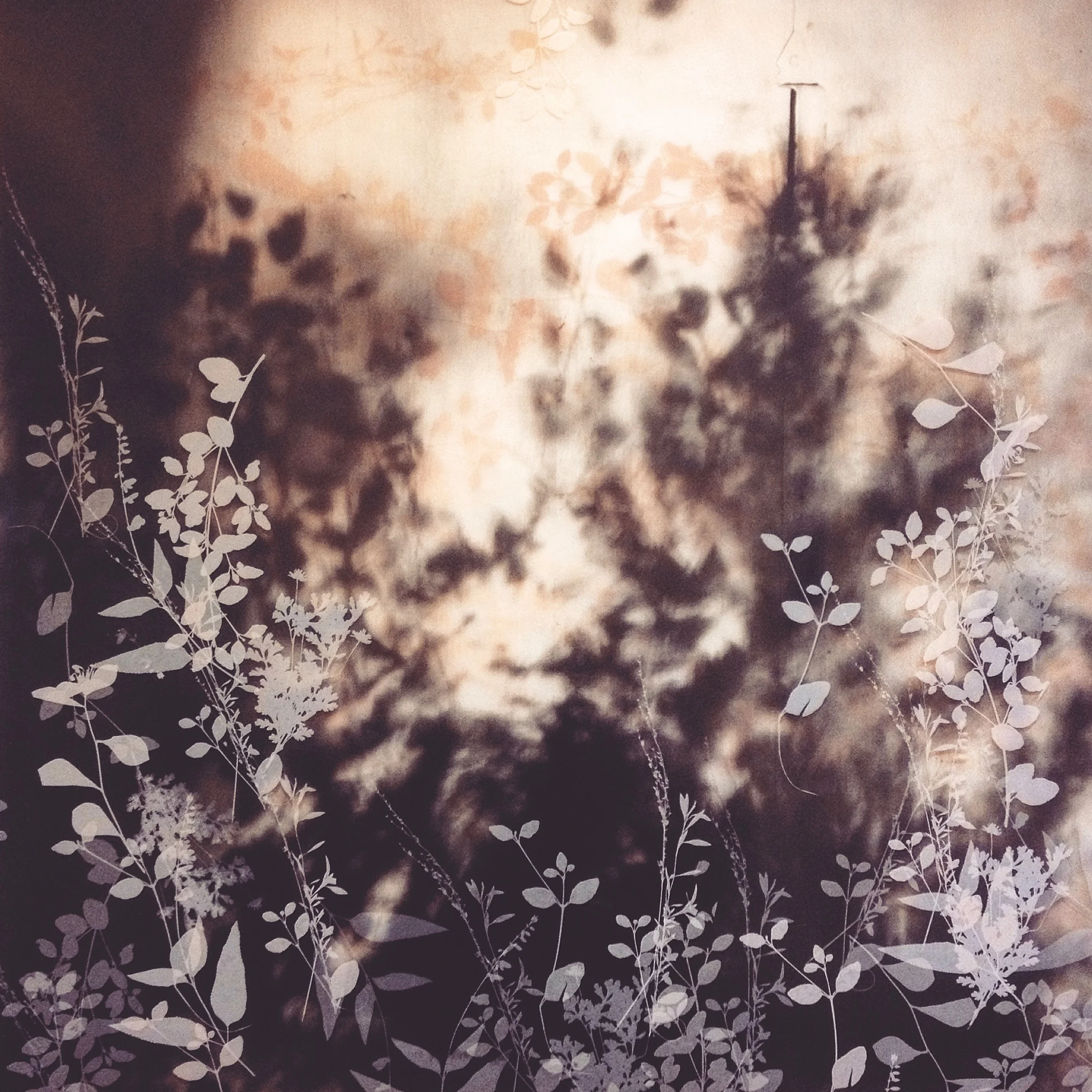 Impermanence