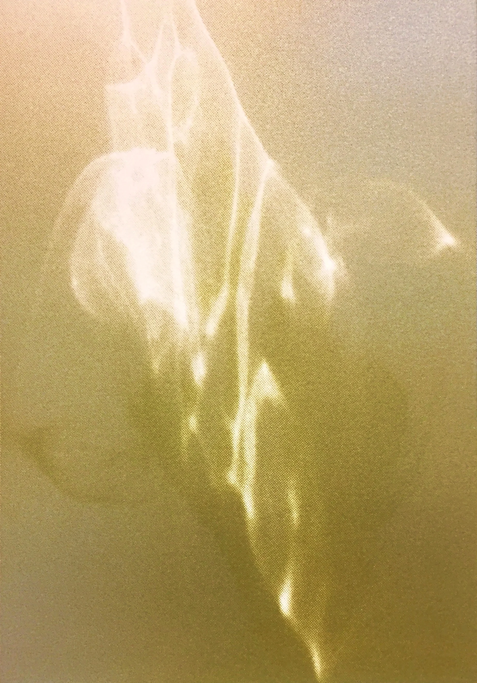 Afterglow, no 1