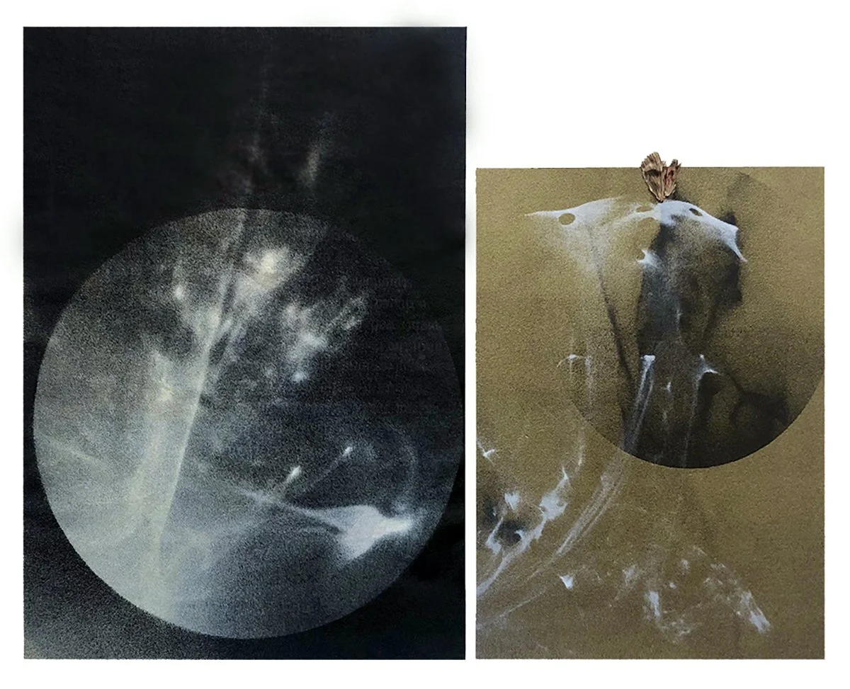 How little can we see? no. 2