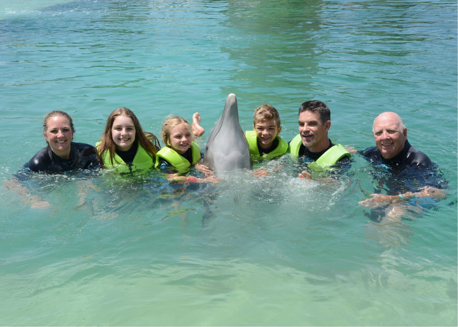 hess group dolphin.jpg