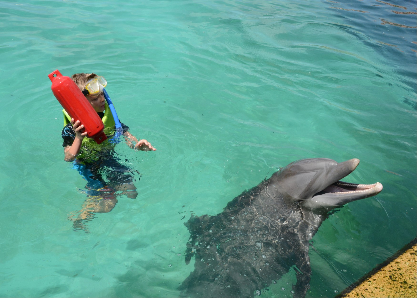 jake dolphin fetch.jpg