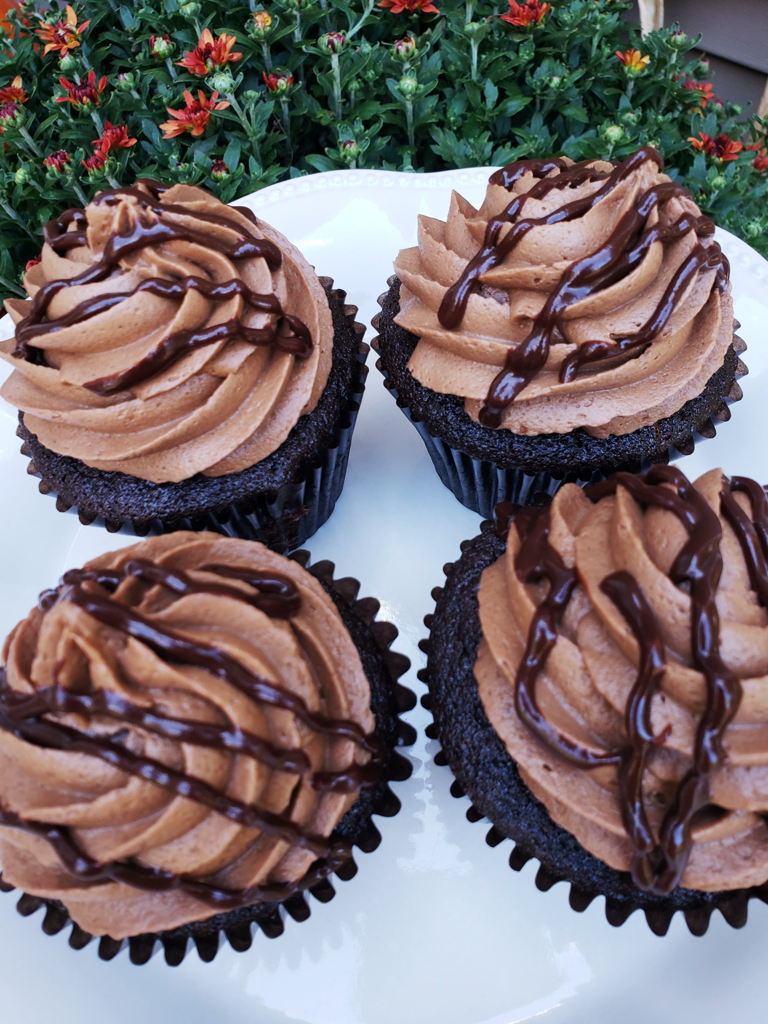 country baker chocolate cupcakes.jpg