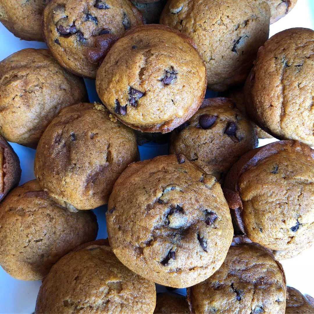 Pumpkin Chocolate Chip Muffins