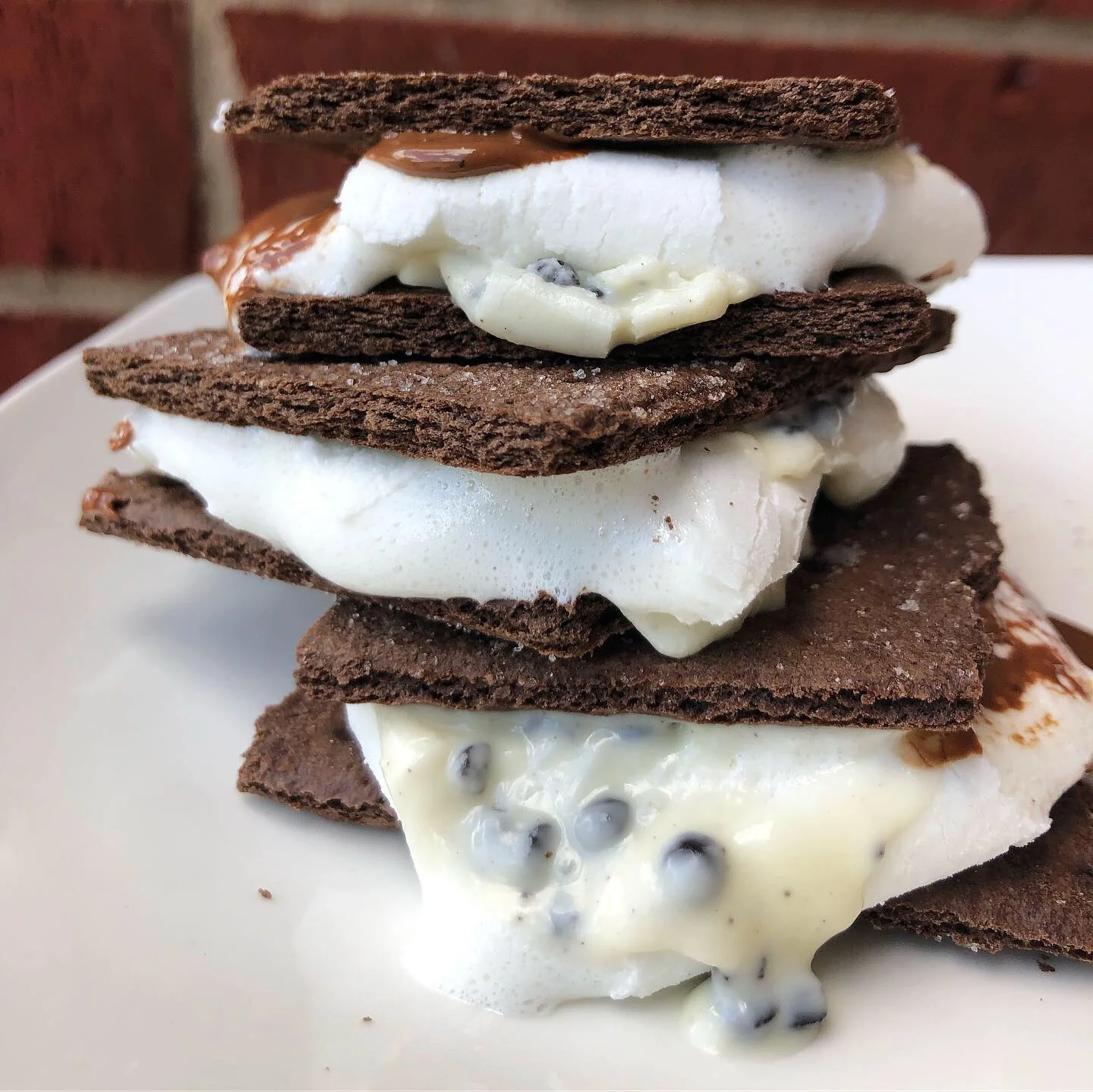 Oreo S'mores- or what we call S'mOREOs