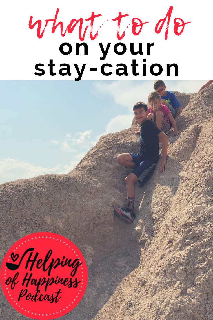 what to do on your stay cation episode 70 pin.png