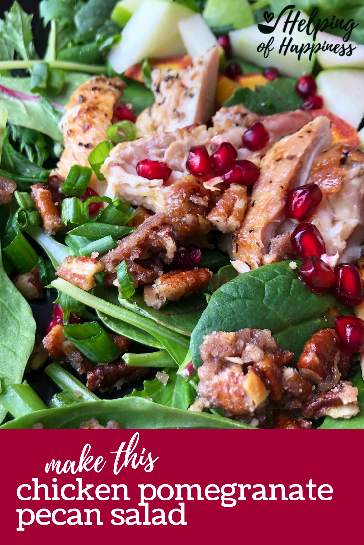 chicken pomegranate pecan salad pin 4.png