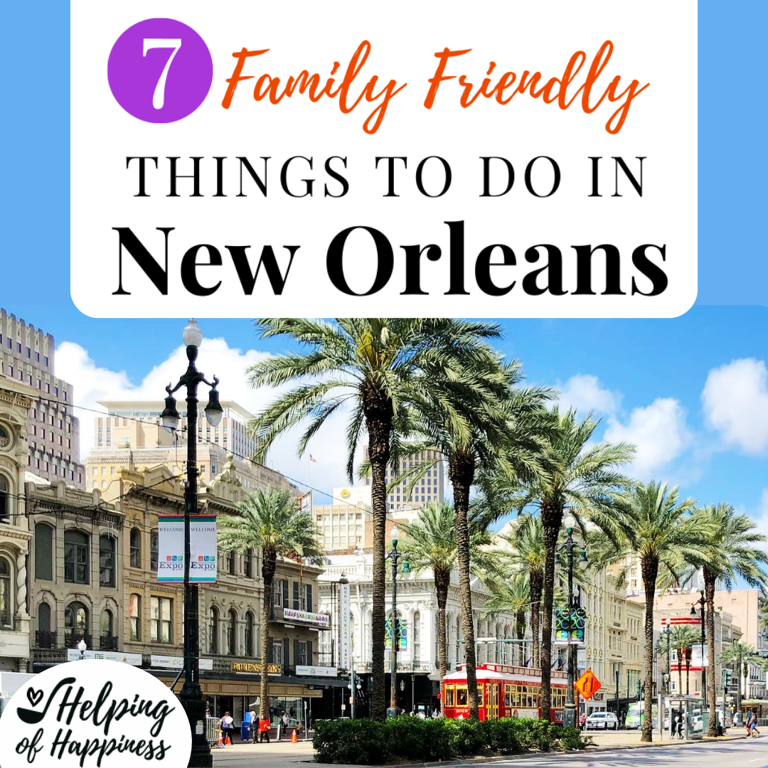 7 Family Friendly Things To Do In New