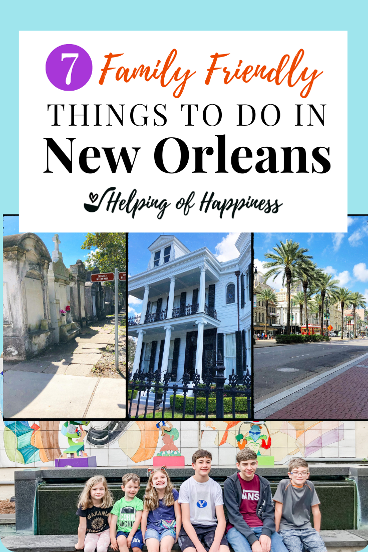 7 Family Friendly Things To Do In New