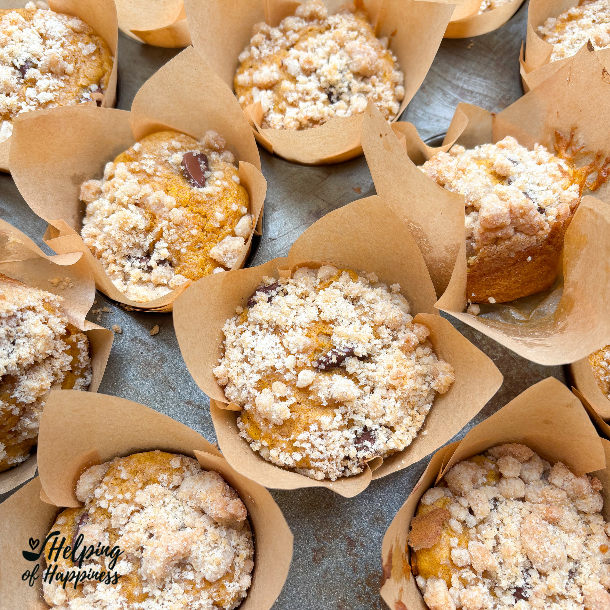 Pumpkin Chocolate Chip Muffins with Streusel Topping- Great On the Go Breakfast for Kids!