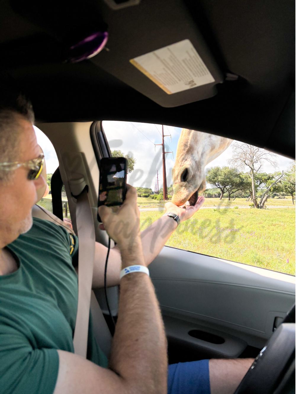 Glen Rose fossil rim 3 watermark.png