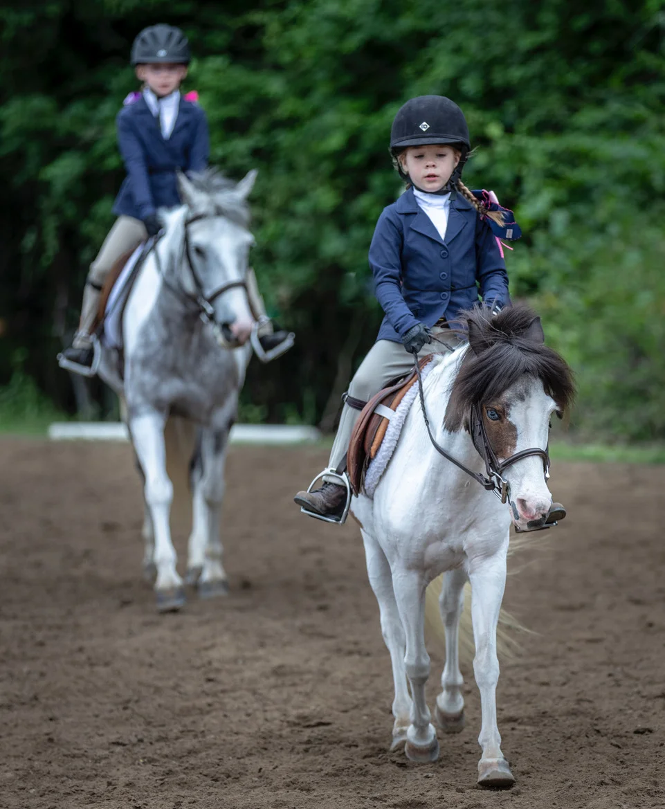 Horse Shows — New Hampshire Hunter Jumper Association