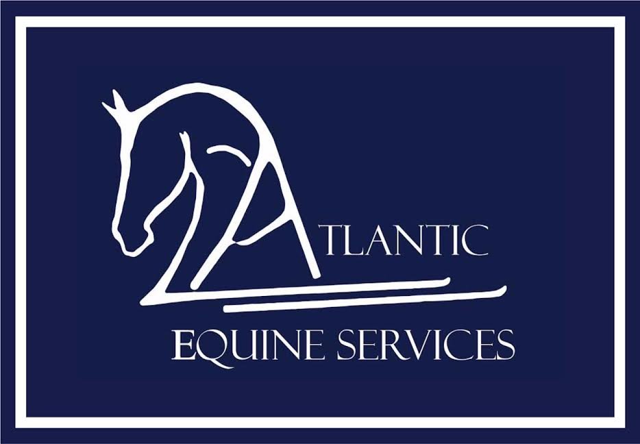 Blue AES Logo.jpg
