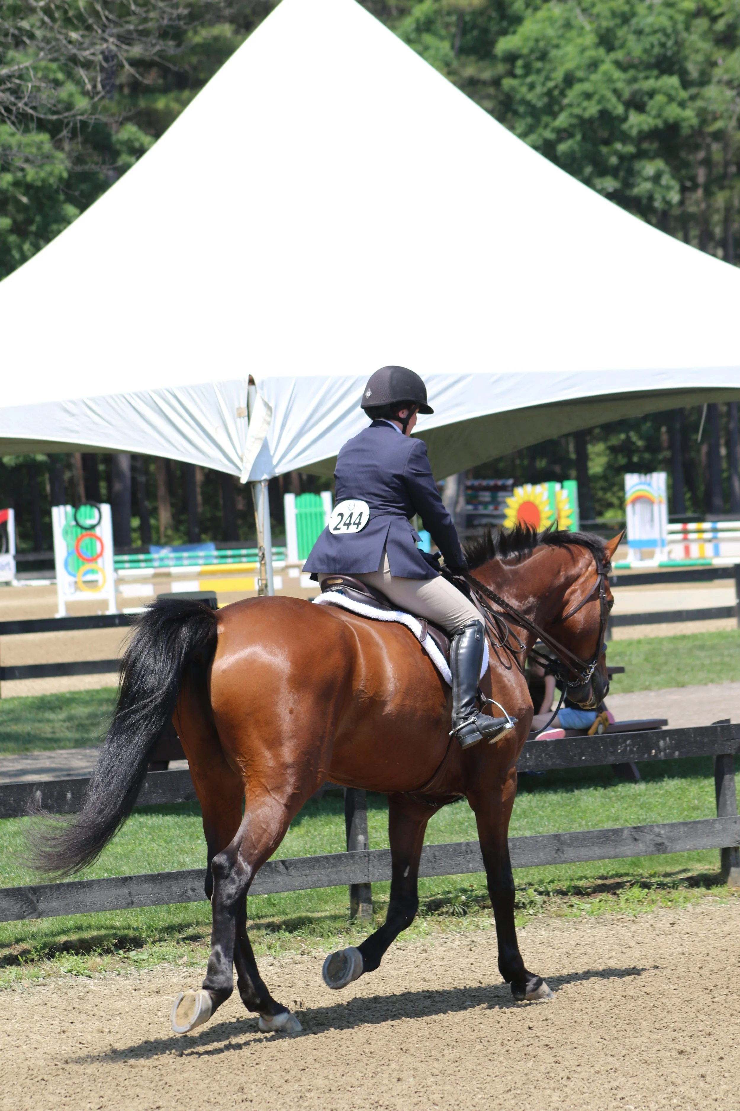 Host Shows — New Hampshire Hunter Jumper Association