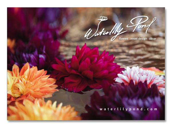 waterlilypond-postcard-design3.jpg