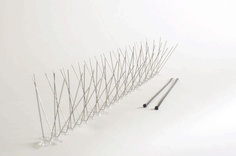 Keep bird off your rain gauge with this protective strip